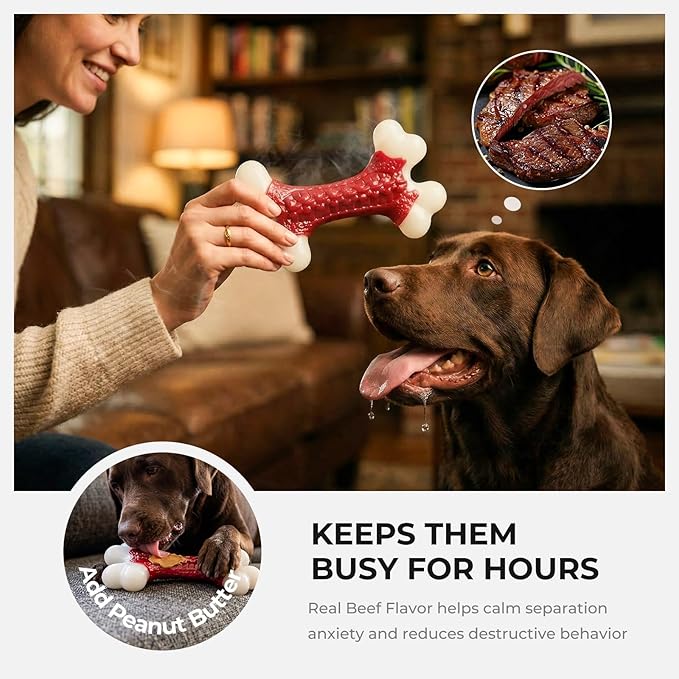 Kseroo 10-Pack Indestructible Dog Toys for Aggressive Chewers: Beef Flavored Hard Nylon Bone Chew Toys, Tough Dog Chew Toys for Large Dogs, Dog Toys to Keep Them Busy for Medium Large Breed, Red