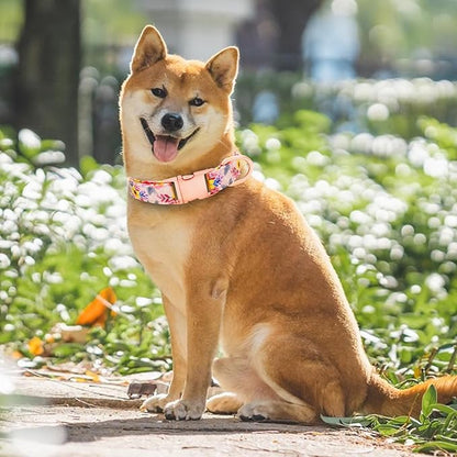 Dog Collar and Leash Set Girls Adjustable Puppy Collars with Floral Bow Tie for Small Medium Large Female Dogs, Pink Flower, XS