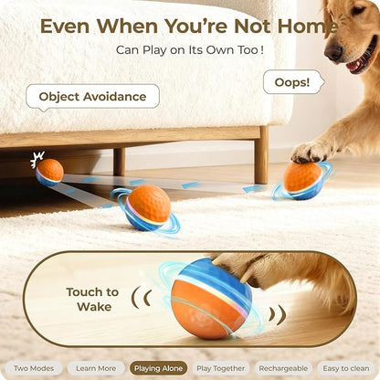 Apasiri Interactive Dog Toys: Automatic Moving Dog Toys for Aggressive Chewers with LED Lights (3.74 in Diameter)