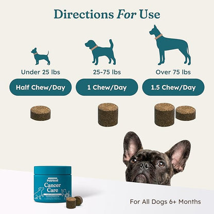 PetHeal Cancer Care Chews for Dogs - Pork Flavor - Supports Energy, Comfort & Longevity | Immune Support with Astragalus & Burdock | Helps Digestive Discomfort | 30 Soft Chews, Vet-Reviewed