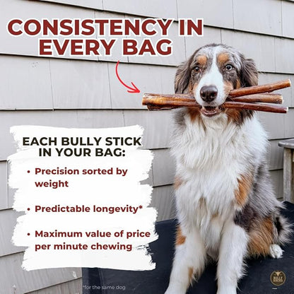 Bully Bunches All Natural 6" Standard Braided Bully Sticks - Odour Free, Rawhide Free, Chemical Free - Safe, Long Lasting Thick Beef Dog Chews - Fully Digestible Treat for Small and Medium Dogs, 10 Pk