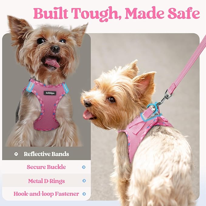 rabbitgoo Dog Harness Small Medium Sized and Leash Set, Step in Soft Light Puppy Vest, Breathable Mesh Pet Harness, Reflective for Safe Easy Walking, Pink & Plaid Trim L