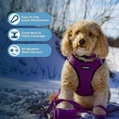Best Pet Supplies - All Weather Mesh/Plush, Reflective, No Pull Harness for Small, Medium Dogs, Cats - Secure with Hook & Loop Fastener, Buckle, Double D-Rings - Purple/Black Trim, S