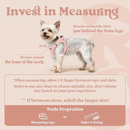 rabbitgoo Small Dog Harness, Step-in Soft Mesh Puppy Vest with Safety Buckle, Breathable Reflective Pet Harness for Extra Small Dogs, Pink XXXS