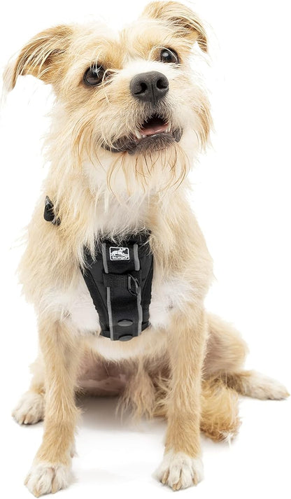 Kurgo Tru-Fit Smart Dog Walking Harness - Comfortable Fit - Adjustable Harness - Reflective Pet Wear - Quick Strap Release - Daily Walk Accessory - Includes Seat Belt Loop - Black - X-Small