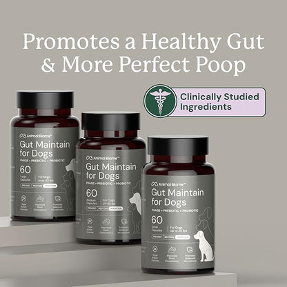 Animal Biome Probiotics for Dogs with S Boulardii, Gut Maintain (60 Capsules) – Triple-Action Medium Dog Probiotics, Prebiotics & Phage Supplements for Gut Health, Firmer Stool & Diarrhea Support