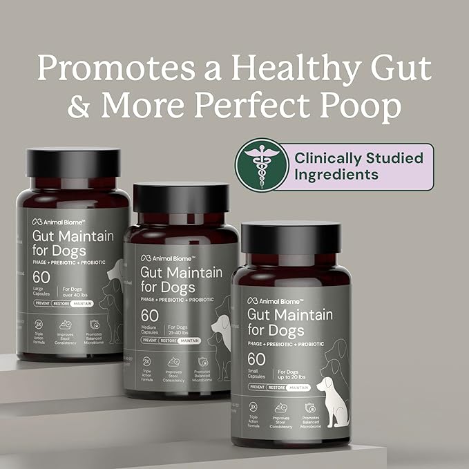 AnimalBiome Gut Maintain Multi-Strain Probiotics for Small Dogs (60 Capsules) – Triple-Action Phage, Prebiotics & Probiotic Dog Supplements for Digestive Health, Gut Health for Dogs Under 21 Pounds