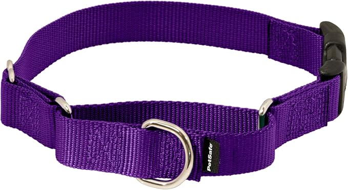 PetSafe Martingale Collar with Quick-Snap Buckle - Adjustable No-Slip Quick Release Dog Collar - Everyday Wear No-Pull Training Aid - 3/4" Wide - Medium - Deep Purple