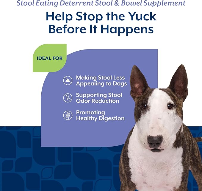 NaturVet – Coprophagia Stool Eating Deterrent Plus Breath Aid – Deters Dogs from Consuming Stool – Enhanced with Breath Freshener, Enzymes & Probiotics – 70 Soft Chews