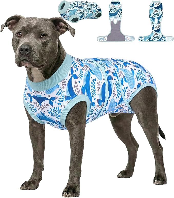 PetWarm Surgery Shirts for Dogs, Dog Surgery Suit, Cone of Shame Alternatives, Pet Surgical Recovery Pajamas Suit Female Male Dog Onesie for Spay Neuter, Marine Animal Patterns, Blue, XL