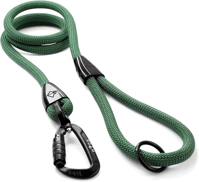 MADE TO ROAM Premium Explorer Leash - Climbing Rope Leash with Autolocking Aviation Aluminum Carabiner - Oregon Haze, 6ft