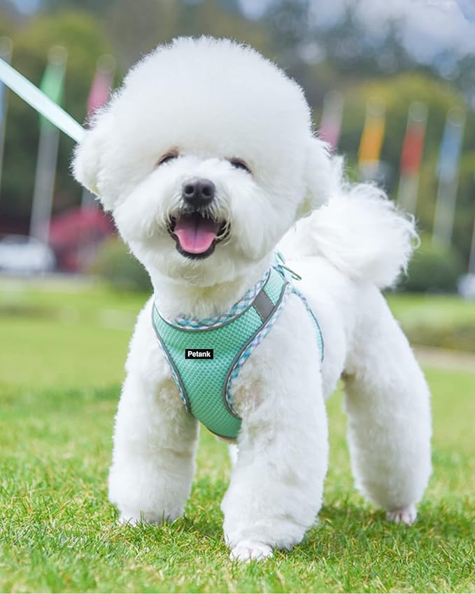 Petank Dog Harness for Small Medium Dogs No Pull, Puppy Harness and Leash Set, Step in Dog Harness for Walking, Running, Training, Small Dog Vest(Green, S)