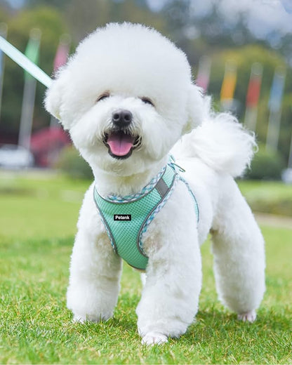 Petank Dog Harness for Small Medium Dogs No Pull, Puppy Harness and Leash Set, Step in Dog Harness for Walking, Running, Training, Small Dog Vest(Green, XXS)