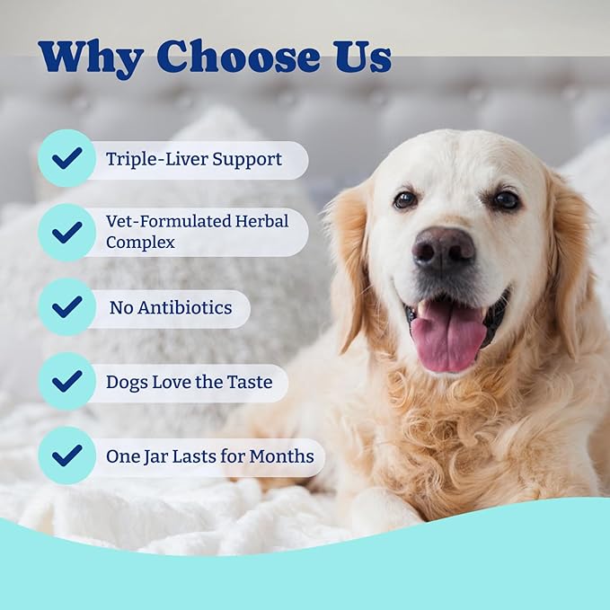 Milk Thistle Liver Support Chews for Dogs – Soft Chews with NAC, Curcumin, Choline & Dandelion – Supports Liver Function, Antioxidant Defense & Immune Health – Duck & Pear Flavor – 120 Count