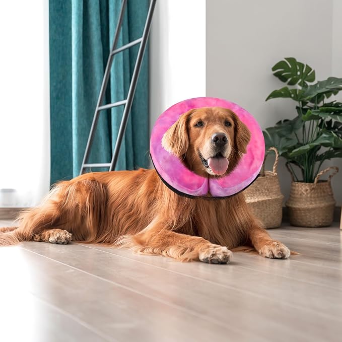 Dog Cone, Y-blue Dog Cone Collar Inflatable Puppy Neck Collar(Rose Purple, XL)