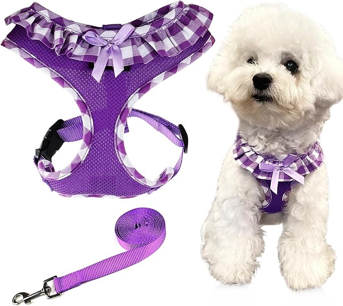 SuperBuddy Upgraded Soft Mesh Dog Harness, Super Breathable Lightweight Pet Harnesses for Puppy Dogs Outdoor Walking, Purple Dog Harness and Dog Leash Set Packing -XSmall