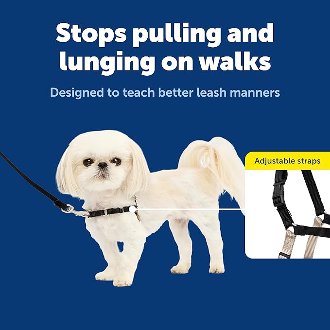 PetSafe Easy Walk No-Pull Dog Harness - The Ultimate Harness to Help Stop Pulling - Take Control & Teach Better Leash Manners - Helps Prevent Pets Pulling on Walks, Petite, Black/Silver