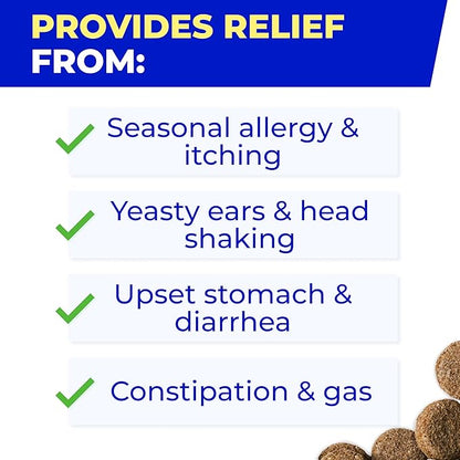 PAWFECTCHEW Pet Probiotics for Dogs & Digestive Enzymes for Dogs | Gut Health & Digestive Function Support | Pumpkin & Omega | Prebiotic Supplement Chews