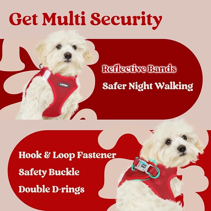 rabbitgoo Small Dog Harness, Step-in Soft Mesh Puppy Vest with Safety Buckle, Breathable Reflective Pet Harness for Small Sized Dogs, Red M