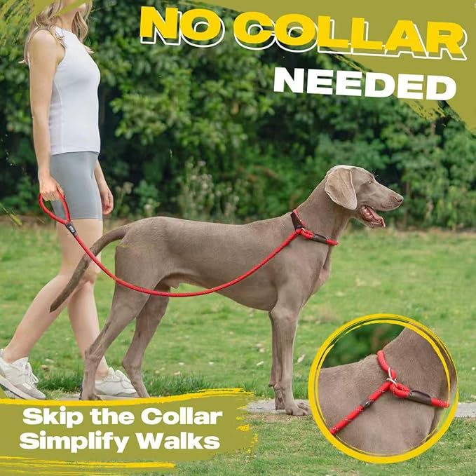 Fida Durable Slip Lead Bulk Pack of 5, Heavy Duty 1/2" x 6 FT Comfortable Strong Rope Slip Lead for Large, Medium & Small Dogs No Pulling Pet Training Leash with Highly Reflective Red
