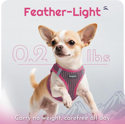 Eagloo Small Dog Harness and Leash Set, Step in Puppy Vest with Breathable Soft Mesh, Walking Reflective Pet Harness for Medium Small Dogs, Rose Red, M