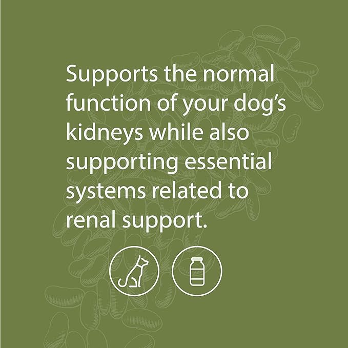 Standard Process Canine Renal Support - Dog Supplement for Kidney, Liver & Heart Health - Animal Supplement for Your Dog's Health - 3.9 oz (70 Servings)