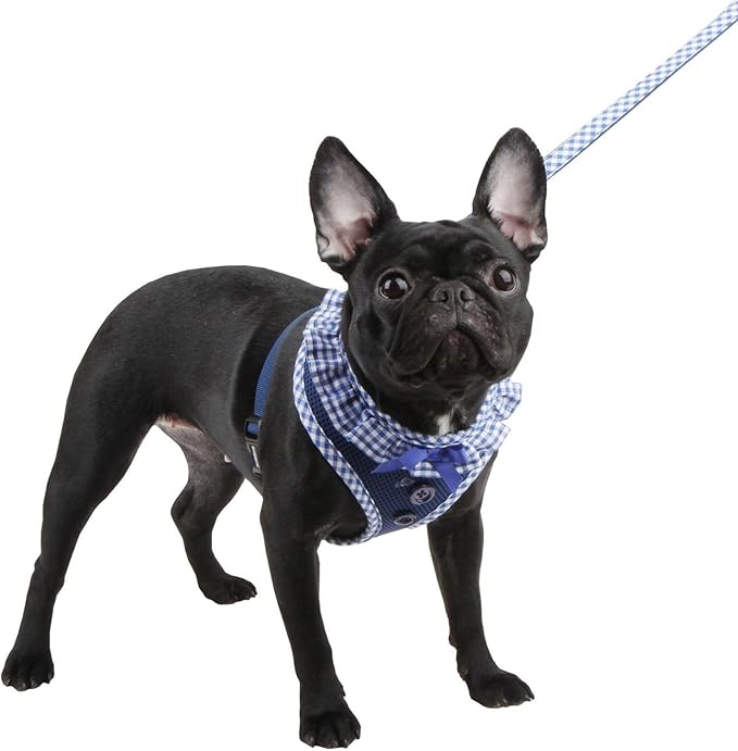 Puppia Vivien Dog Harness Over-the-Head All Season Cute No Pull No Choke Walking Training Adjustable for Small Dog, Black, Small