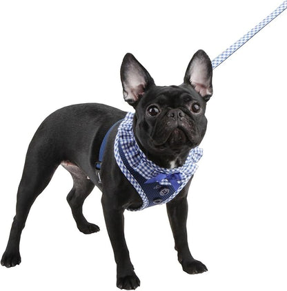 Puppia Vivien Dog Harness Over-the-Head All Season Cute No Pull No Choke Walking Training Adjustable for Small Dog, Black, Small