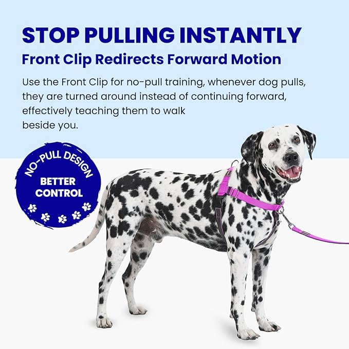 Freedom No Pull Dog Harness, Easy Walk with Front Clip, Two Stainless D-Rings, Sewn-in Instructions Tags for Easy Use, for Medium/Large Dogs Weight 40-60 lbs (Purple, Med/Large)