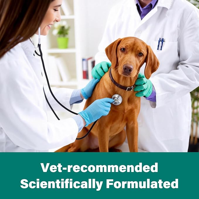 De-Wormer for Medium and Large Dogs, Oral Treatment for Tapeworm, Roundworm & Hookworm