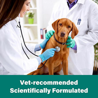 De-Wormer for Medium and Large Dogs, Oral Treatment for Tapeworm, Roundworm & Hookworm