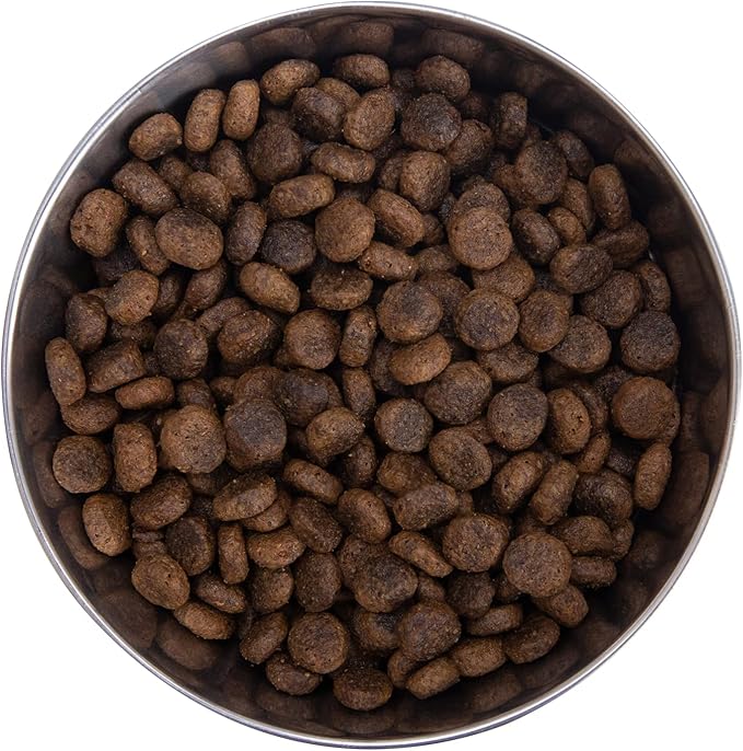 Health Extension Grain Free Buffalo & Whitefish Dry Dog Food - 30+ Superfoods and Probiotics for All Life Stages (10 lb)