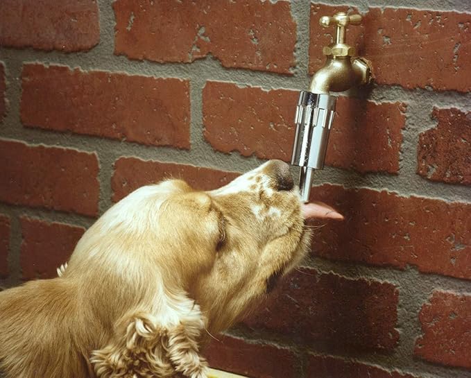 Lixit® L100 Water Faucet Automatic Fountain for Dogs and Other Pets - Made in USA (2 Pack)