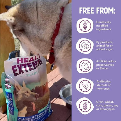 Health Extension Grain Free Chicken & Turkey Dry Dog Food - 30+ Superfoods and Probiotics for All Life Stages (1lb)