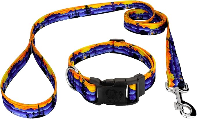 Country Brook Petz - Great Outdoors Everyday Dog Collar and Leash - Sports and Athletics Collection Featuring Spirited Designs (1 Inch, Large)