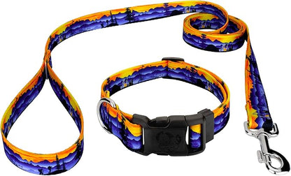 Country Brook Petz - Great Outdoors Everyday Dog Collar and Leash - Sports and Athletics Collection Featuring Spirited Designs (1 Inch, Medium)