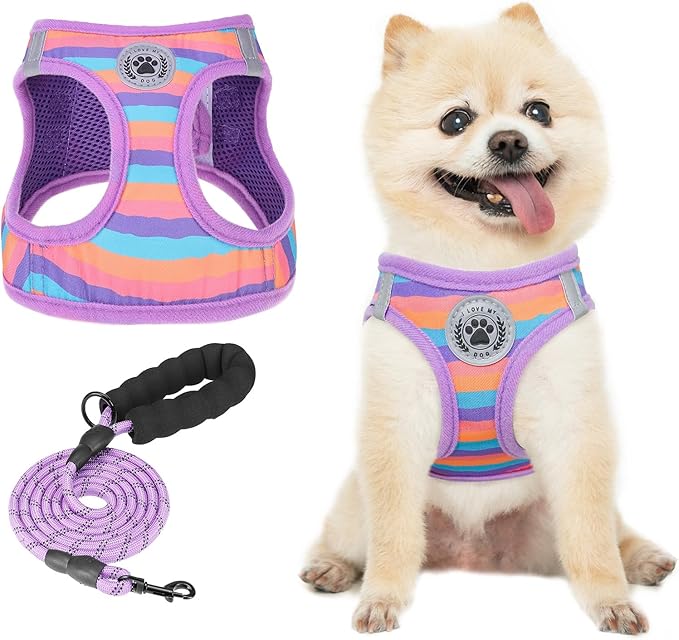 BEAUTYZOO Dog Harness and Leash Set for Small Dogs,No Pull Step-in Harness for Puppy XS S Sized Dogs and Cats,Air Mesh Adjustable Breathable Soft No Choke Escape Proof Vest Harness,Striped Purple XXS