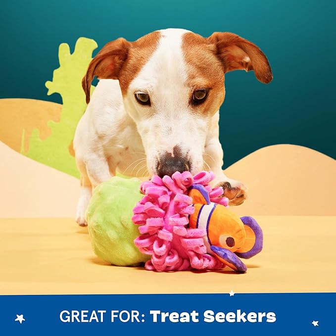 Barkbox Clown Fishing Around Plush Toy for Small Dogs – 2-Part Squeaky Toy with Treat-Hiding Fun – Perfect for Interactive Play and Mental Stimulation