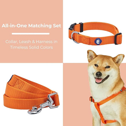 Blueberry Pet Essentials Matching Dog Collar Leash Harness Set in Orange Vermilion, Adjustable Classic Solid Color Nylon Collar with Harness & 5 ft Leash for Medium Dogs