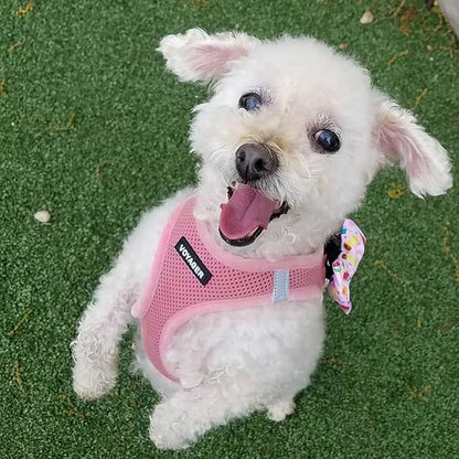 Best Pet Supplies Voyager Step-in Air All Weather Mesh Harness and Reflective Dog 5ft Leash Combo with Neoprene Handle, for Small, Medium and Large Breed Puppies - Set (Pink), Small