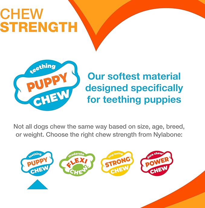 Nylabone Puppy Chew Teething Bone, Toys for Teething Puppies, Chicken Flavor, Medium, Up to 35 Ibs, 1 Count