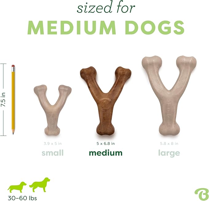 Medium 3-Pack, Benebone Wishbone Durable Dog Chew Toy for Aggressive Chewers, Real Bacon, Chicken, Peanut Butter, Made in USA, Variety Pack