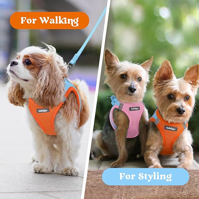 rabbitgoo Small Dog Harness, Step-in Soft Mesh Puppy Vest with Safety Buckle, Breathable Reflective Pet Harness for Extra Small Dogs, Blue & Orange XXS