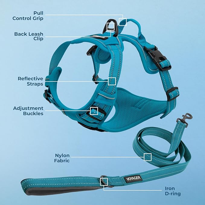 Voyager Dog Harness Dual Leash Attachment No-Pull Control Adjustable Soft but Strong Pet Harness for Medium and Large Dogs with 3M Reflective Technology, Leash Set Turquoise Nylon, XL (Chest: 28-37")