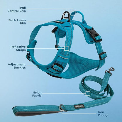 Voyager Dog Harness Dual Leash Attachment No-Pull Control Adjustable Soft but Strong Pet Harness for Medium and Large Dogs with 3M Reflective Technology, Leash Set Turquoise Nylon, XL (Chest: 28-37")