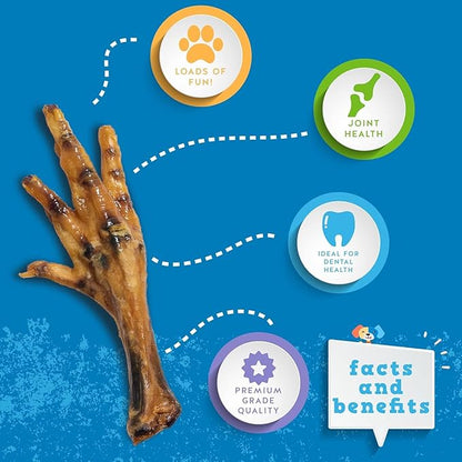 Jack&Pup Dried Chicken Feet Dog Treats | 100% Natural, Fully Digestible, Dehydrated Chicken Feet for Dogs High Protein, Joint Support (75 Pack) Economical Alternative to Duck Foot and Pig Ears