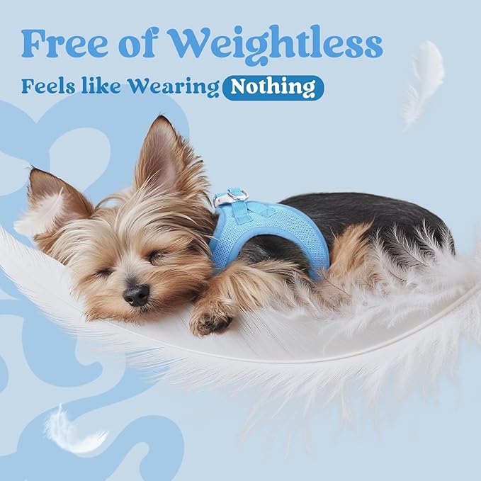 rabbitgoo Small Dog Harness, Step-in Soft Mesh Puppy Vest with Safety Buckle, Breathable Reflective Pet Harness for Extra Small Dogs, Blue XXS