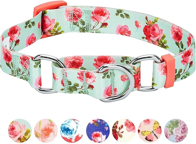 Blueberry Pet Spring Scent Inspired Rose Print Martingale Safety Training Dog Collar, Turquoise, Medium, Heavy Duty Adjustable Collars for Dogs