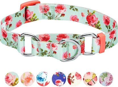 Blueberry Pet Spring Scent Inspired Rose Print Martingale Safety Training Dog Collar, Turquoise, Medium, Heavy Duty Adjustable Collars for Dogs