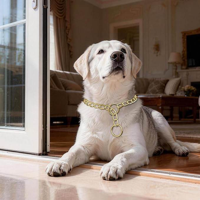 Dog Choke Collar Slip P Chain, Metal Slip Link Training Heavy Duty Dog Choker Collar Martingale Puppy Collars for XS Small Medium Large Big XL Breed Dogs (Gold, M(Neck Max 18inch) D3.0mm)